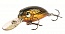 ������ Lurefans Excavator E-39 4.8��. 39��. col.10