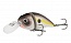 ������ Kutomi Bald-Crank  F009 15��. 60��.
