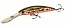 ������ Lurefans Rumor series R-70F 6��. 70��. col.16