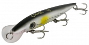  FW CHASE F 120mm 12g 1.5-2m #009