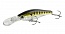 ������ Kutomi DEATH LOCK 70F  G005