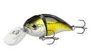  Kutomi Bald-Crank  G001 15. 60.