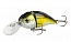 ������ Kutomi Bald-Crank  G001 15��. 60��.