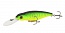 ������ Kutomi Viper Stick 65F  F004