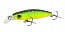 ������ Kutomi DEEP DRIFT 55SS  F004