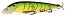 ������ Kutomi RIPPLE F004 130mm 007
