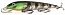 ������ Kutomi RIPPLE E006 130mm 007