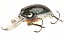 ������ Lurefans Excavator E-39 4.8��. 39��. col.15