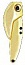 ������ Kutomi Scorpion-1  6g Gold
