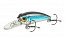 ������ Kutomi KAWA SPECIAL 40SP  E002